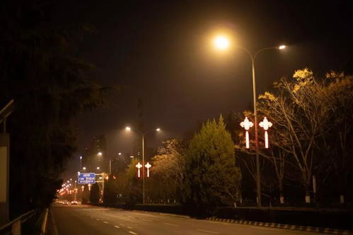 换代升级 石墨烯LED路灯在浐灞闪耀上岗，草坪灯同步焕新