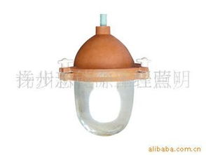 许步忠与庭院灯 点亮乡村生活的温暖之光